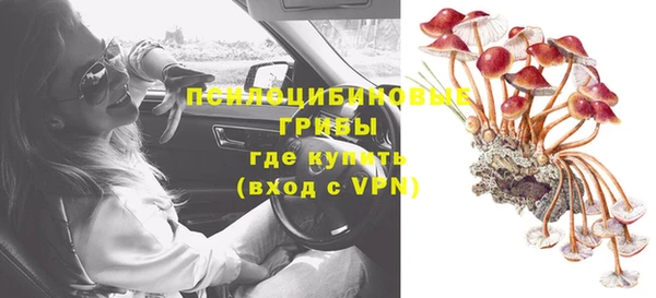 шишки Богданович