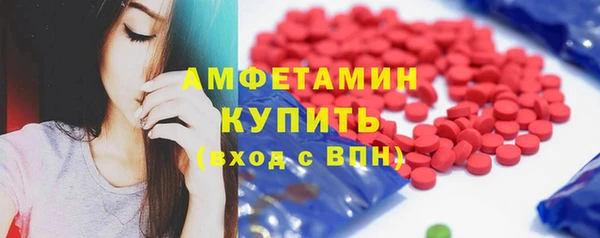 мдпв Богородск