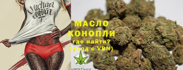 мдпв Богородск