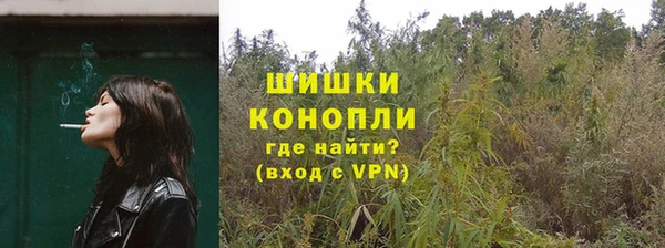 шишки Богданович