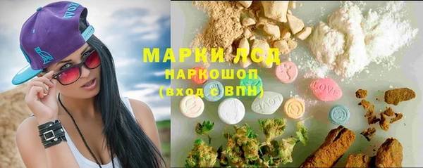 мдпв Богородск