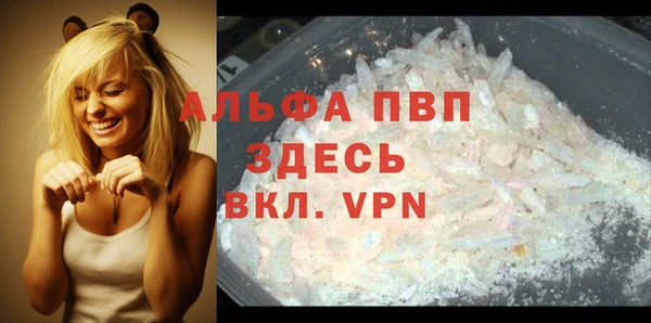 шишки Богданович