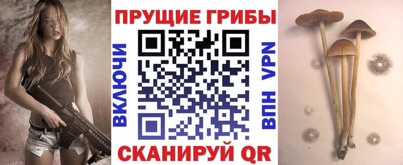 мега ссылки  дарк нет формула  Псилоцибиновые грибы Psilocybine cubensis  купить закладку  Краснокаменск 